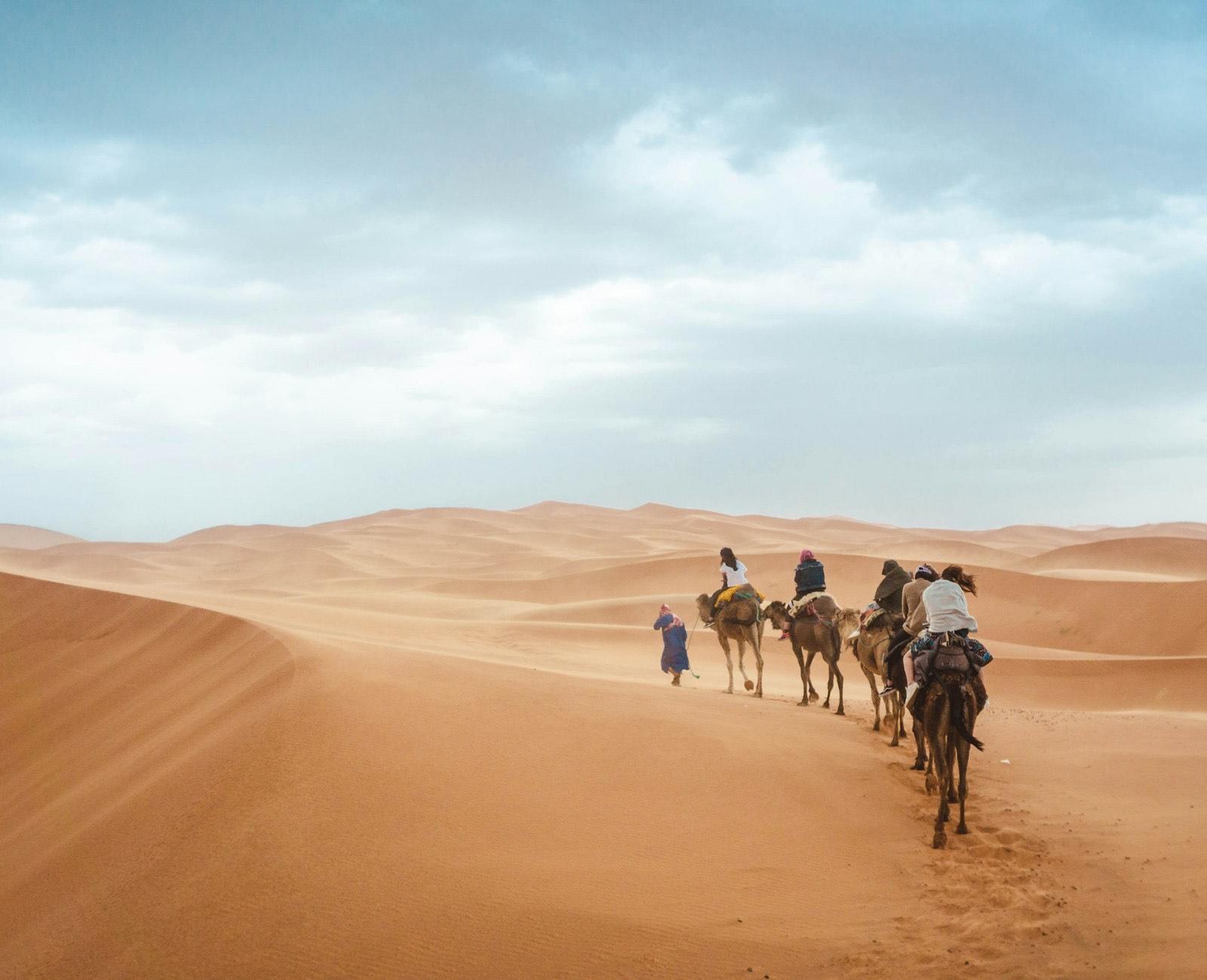 A camel caravan crossing the Sahara dunes in Morocco