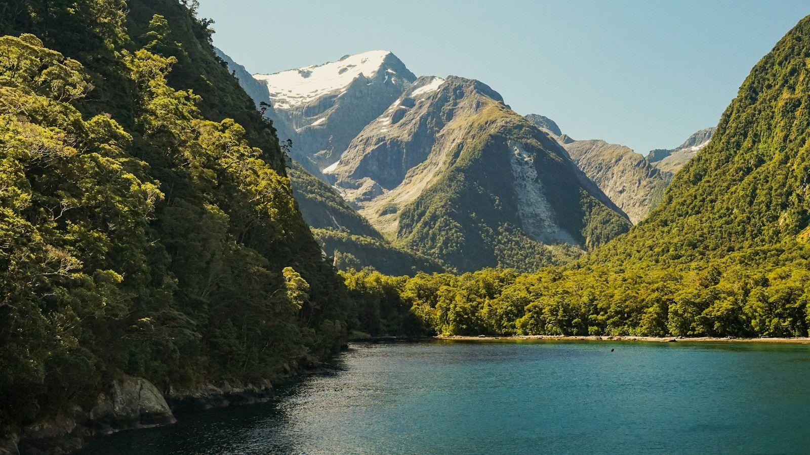A fjord in New Zealand under snow capped peaks