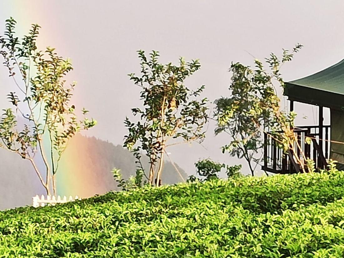 Sri Lanka: a tea estate after rain, a rainbow over a hillside cabin