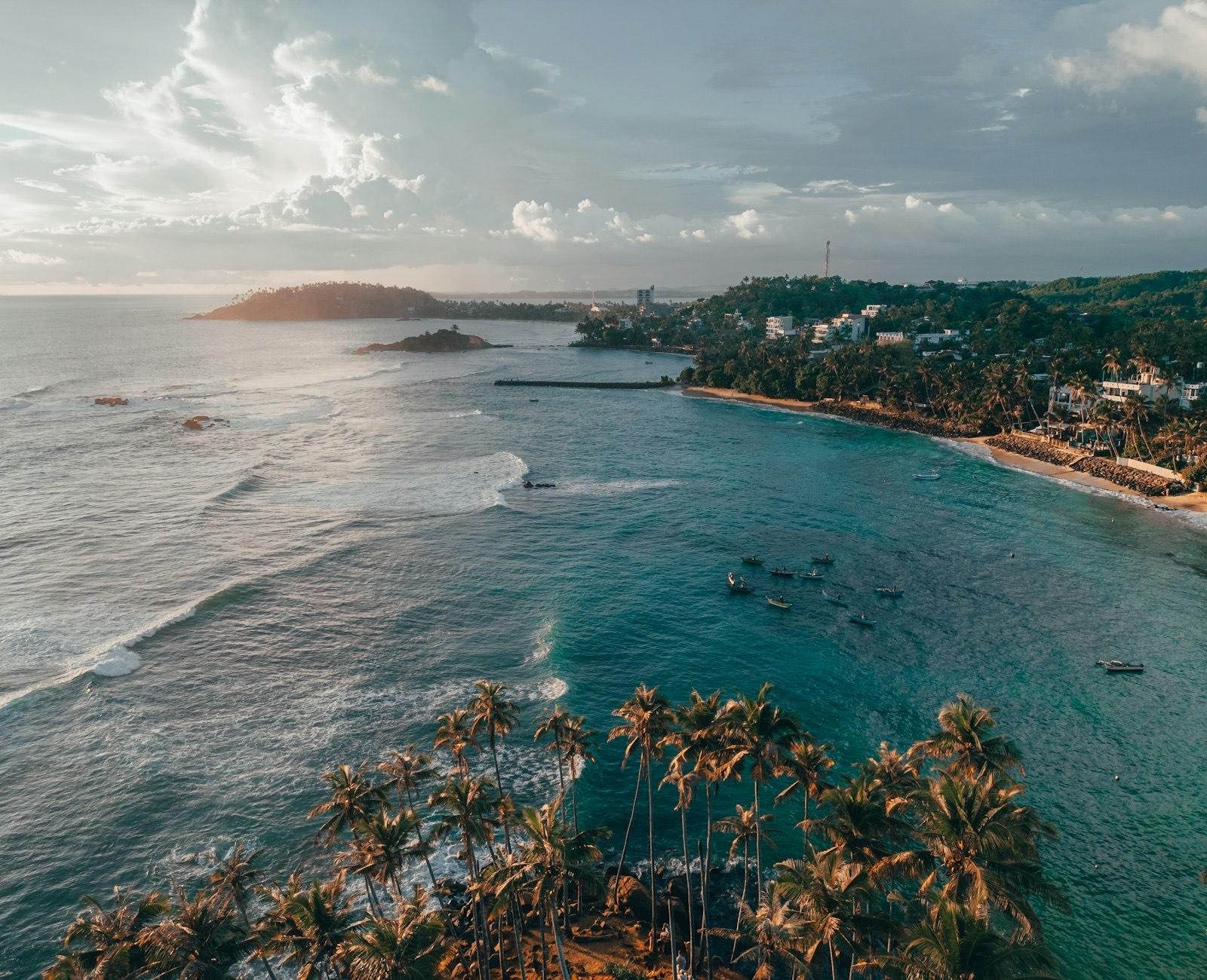 Mirissa bay from above, palms running down to the surf on the south coast of Sri Lanka